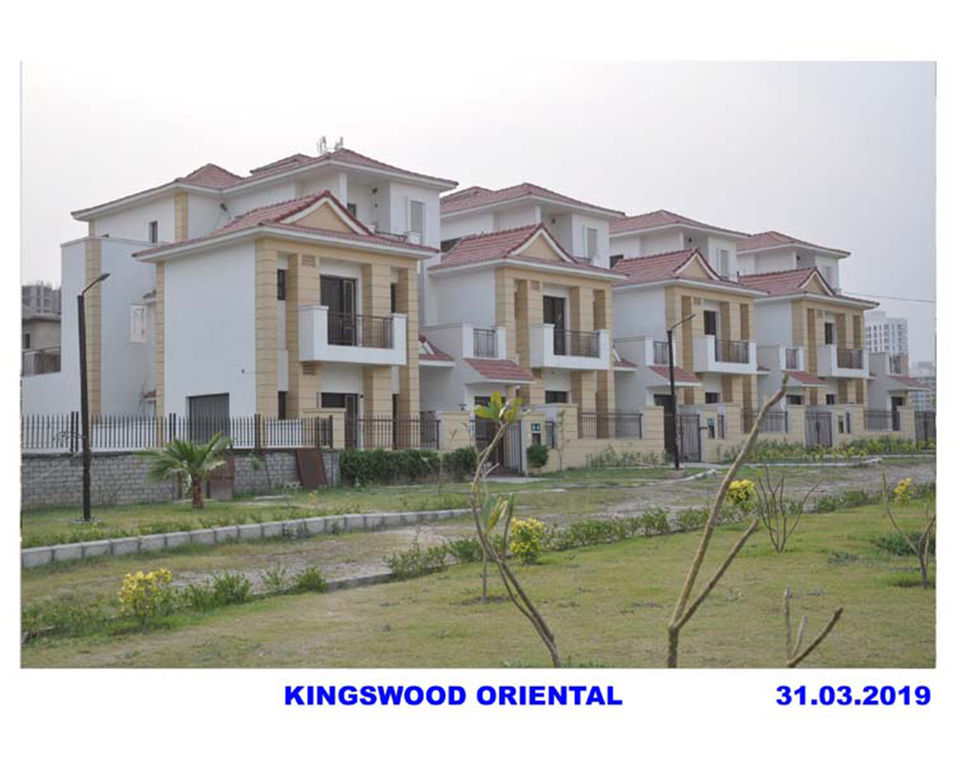 Kingswood Oriental